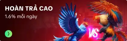 hoàn trả cao
